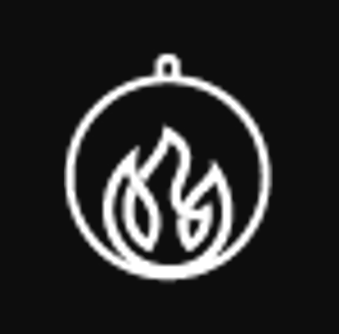 Favicon: Ing. Roman Riedl